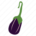 eggplant, aubergine, organic, vegetable, food, purple, vegetarian, ripe, healthy