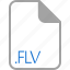extension, file, filetype, flv, format 
