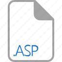asp, extension, file, filetype, format