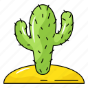 desert, cactus, prickly plant, succulent, cacti