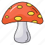toadstool, mushroom, fungus, fungi, edible 