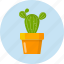 cactus, decoration, develop, plan, tree, work 