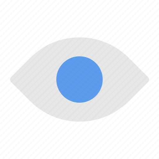 Eye, view, search, vision, magnifying icon - Download on Iconfinder