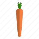 carrot, food, garden, root, vegetable