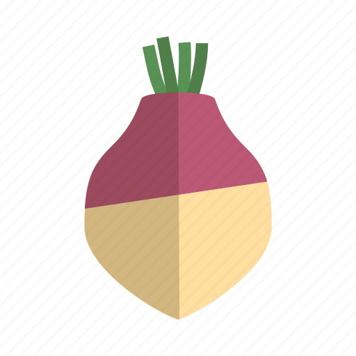 Swede, turnip, vegetable icon - Download on Iconfinder