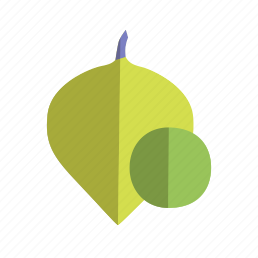 Tomatillo, vegetable icon - Download on Iconfinder