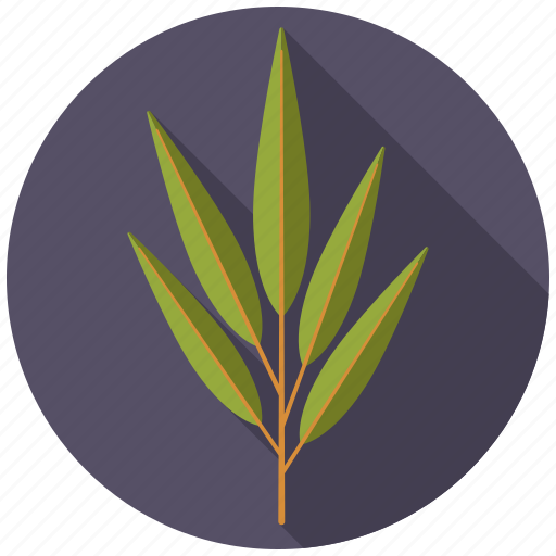 Botany, leaf, nature, plant, tree, willow icon - Download on Iconfinder