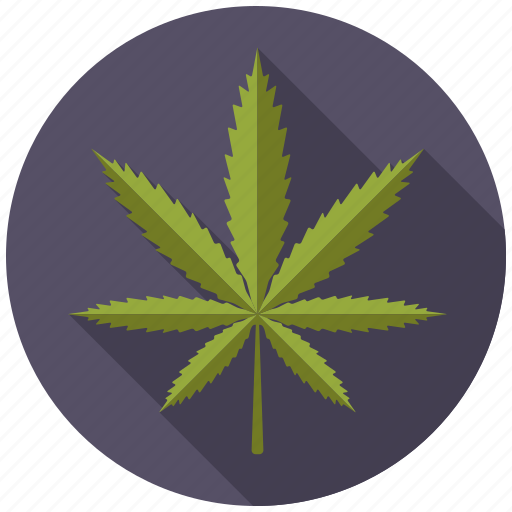 Botany, drug, leaf, marijuana, nature, plant, tree icon - Download on Iconfinder