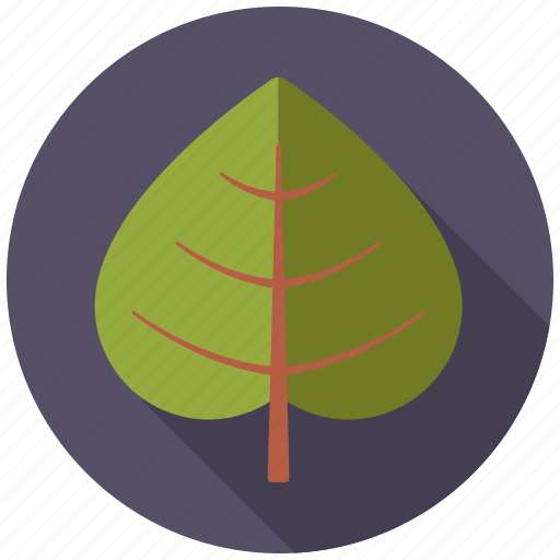 Botany, leaf, linden, nature, plant, tree icon - Download on Iconfinder