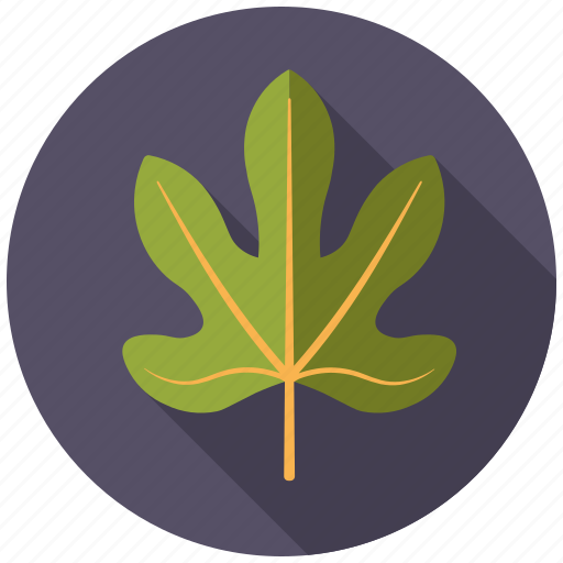 Botany, fig, leaf, nature, plant, tree icon - Download on Iconfinder