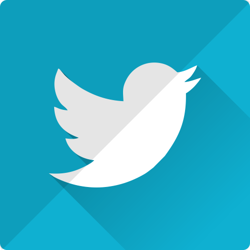 Bird, internet, twitter, communication, connection, media, network icon - Free download