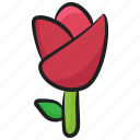 flower, garden flower, natural flower, rose, rose plant