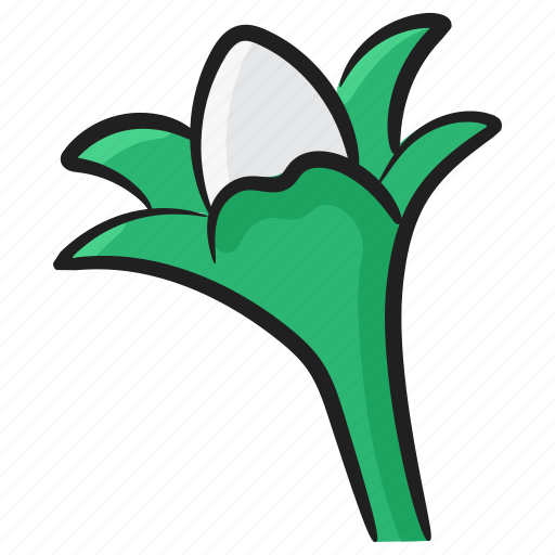 Botany, galanthus, nature, snowdrop, spring flower icon - Download on Iconfinder