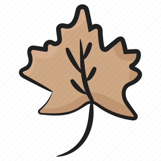 Botany, foliate, leaflet, maple leaf, nature icon - Download on Iconfinder