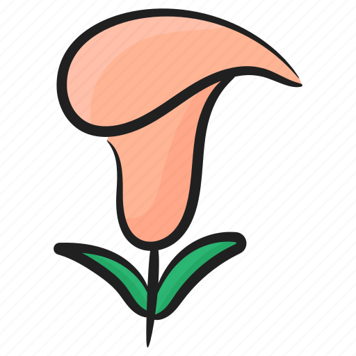 Arum lily, bloom, calla, floral, flower, nature icon - Download on Iconfinder