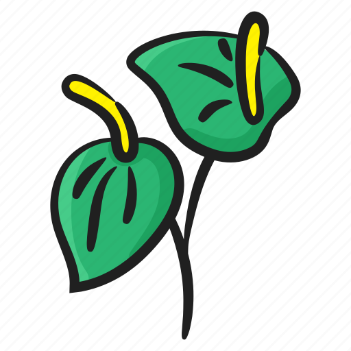 Arum lily, bloom, calla lily, floral, flower, nature icon - Download on Iconfinder