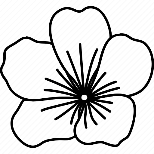 Geranium, flower, bloom, blossom, flora, nature, plant icon - Download on Iconfinder
