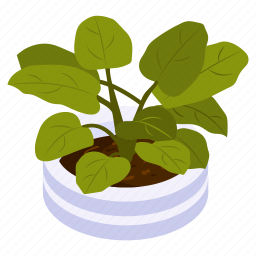 Basil plant, potted plant, decorative plant, leaf, houseplant, foliage houseplant, \ icon - Download on Iconfinder