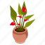 anthurium houseplant, indoor plant, flower pot, decorative plant, houseplant 