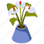 white anthurium, blooming flowers, flower pot, decorative plant, houseplant 