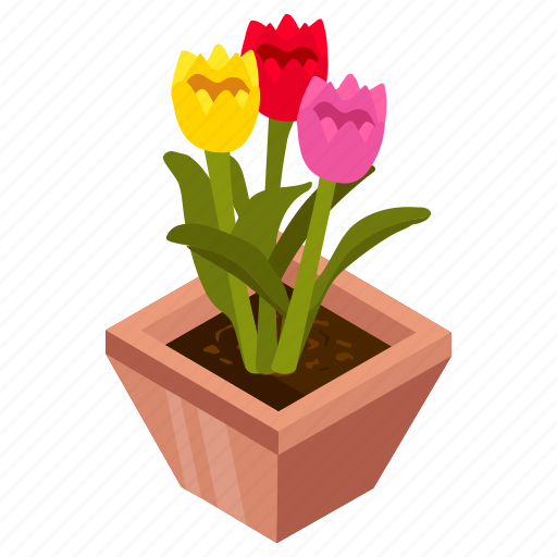 Tulips, blooming flowers, flower pot, decorative plant, houseplant icon - Download on Iconfinder