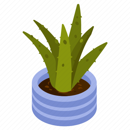 Aloe vera, succulent plant, potted plant, decorative plant, houseplant icon - Download on Iconfinder
