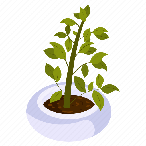Foliage houseplant, zz plant, potted plant, decorative plant, leaf houseplant icon - Download on Iconfinder