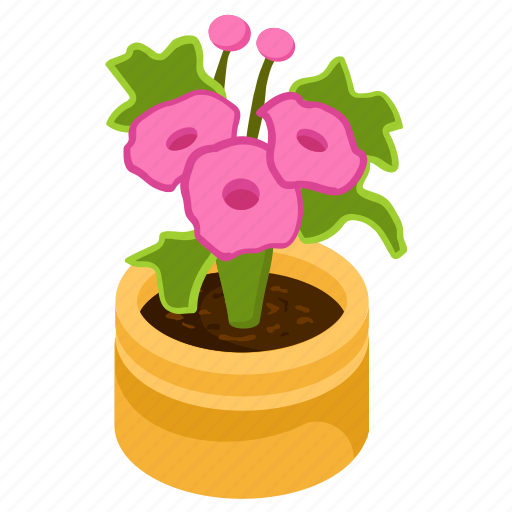 Allamanda flower, blooming flower, flower pot, decorative plant, houseplant icon - Download on Iconfinder