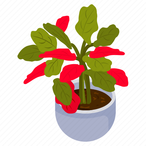 Poinsettia plant, potted plant, decorative plant, leaf, houseplant, foliage houseplant icon - Download on Iconfinder