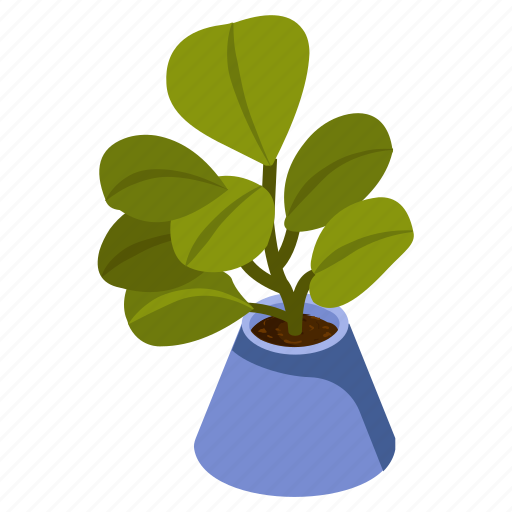Jade plant, potted plant, decorative plant, leaf, houseplant, foliage houseplant icon - Download on Iconfinder