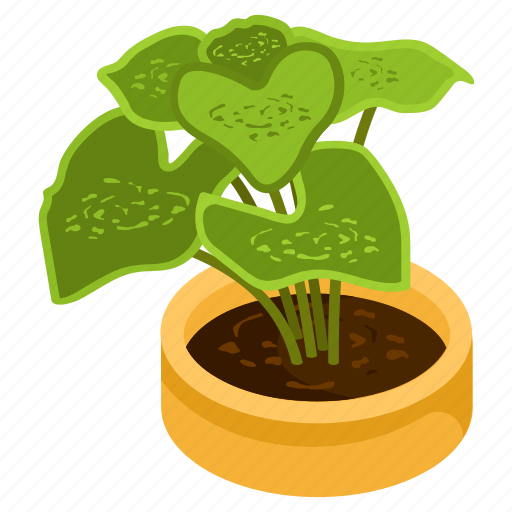 Caladium plant, potted plant, decorative plant, leaf, houseplant, foliage houseplant icon - Download on Iconfinder
