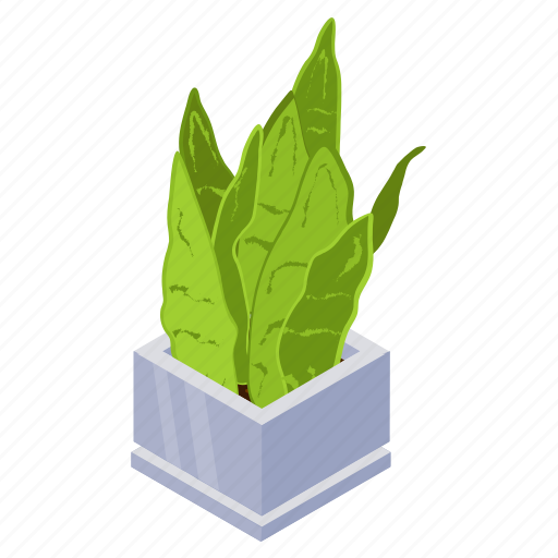 Snake plant, sansevieria, decorative plant, leaf, houseplant, foliage houseplant icon - Download on Iconfinder