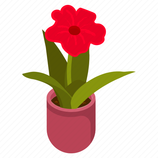 Red amaryllis, blooming flowers, flower pot, decorative plant, houseplant icon - Download on Iconfinder