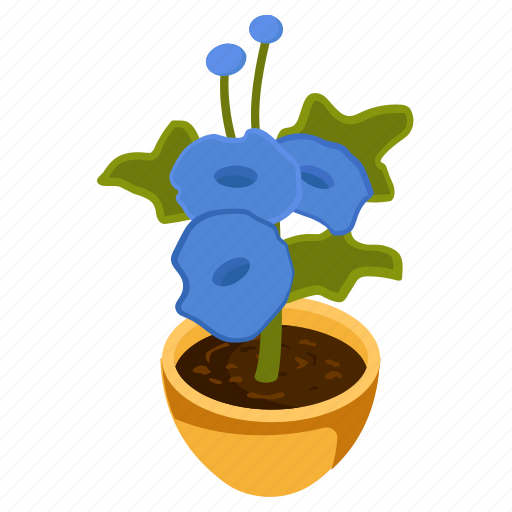 Allamanda flower, blooming flower, thunbergia grandiflora, decorative plant, houseplant icon - Download on Iconfinder