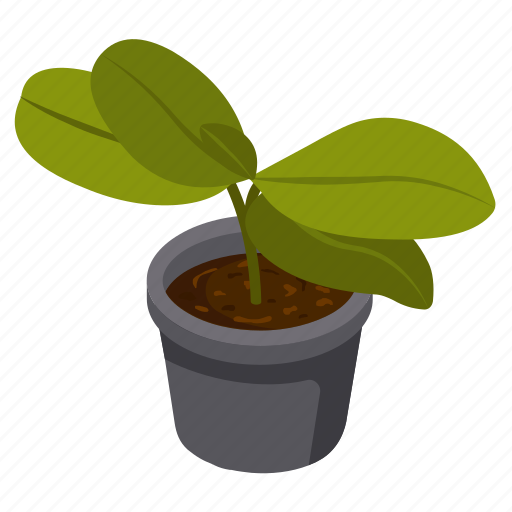 Foliage houseplant, rubber plant, potted plant, decorative plant, leaf houseplant, ] icon - Download on Iconfinder