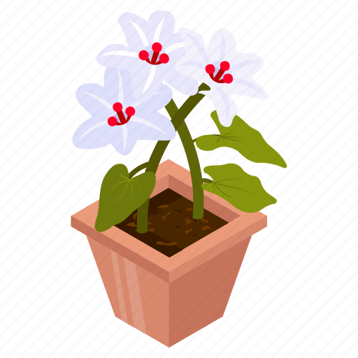 Sulphur cinquefoil, blooming flowers, flower pot, decorative plant, houseplant icon - Download on Iconfinder