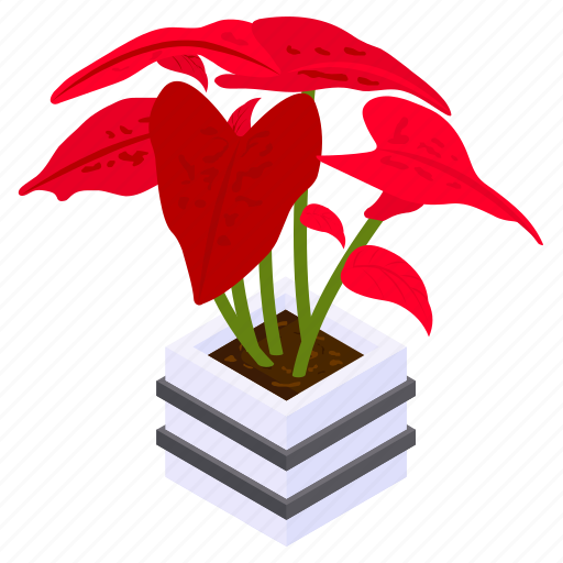 Caladium festivia, potted plant, decorative plant, leaf, houseplant, foliage houseplant icon - Download on Iconfinder