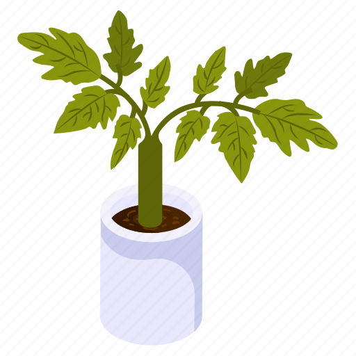 Basil plant, potted plant, decorative plant, leaf, houseplant, foliage houseplant icon - Download on Iconfinder