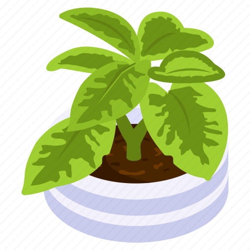 Calathea plant, potted plant, decorative plant, leaf, houseplant, foliage houseplant icon - Download on Iconfinder