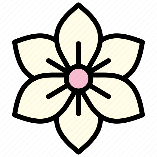 Flower, jade, bloom, flowers, floral, plant icon - Download on Iconfinder