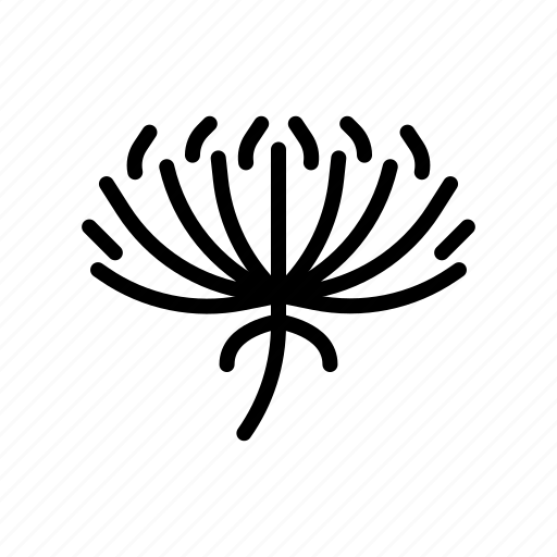 Dandelion, seed, bud icon - Download on Iconfinder