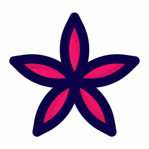 Star, flower, nature, florist, flowers, floral icon - Download on Iconfinder