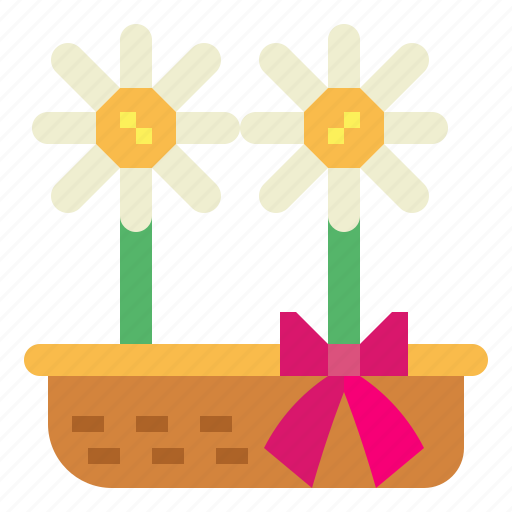 Daisy, floral, flower, plant icon - Download on Iconfinder