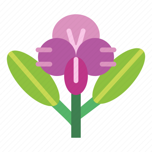 Floral, flower, orchid, plant icon - Download on Iconfinder