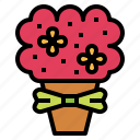 bouquet, floral, flower, plant