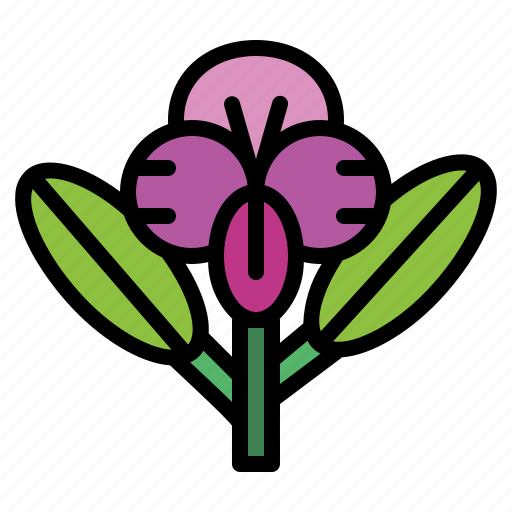 Floral, flower, orchid, plant icon - Download on Iconfinder