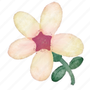 daffodil flower, leaf, colourful, drawing, illustration, floral, decoration, plant