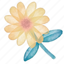 daisy, flower, leaf, colourful, illustration, floral, decoration, plant, painting
