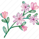 geranium, flower, leaf, colourful, illustration, floral, decoration, plant, painting