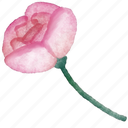 rose, flower, leaf, colourful, illustration, floral, decoration, painting, plant